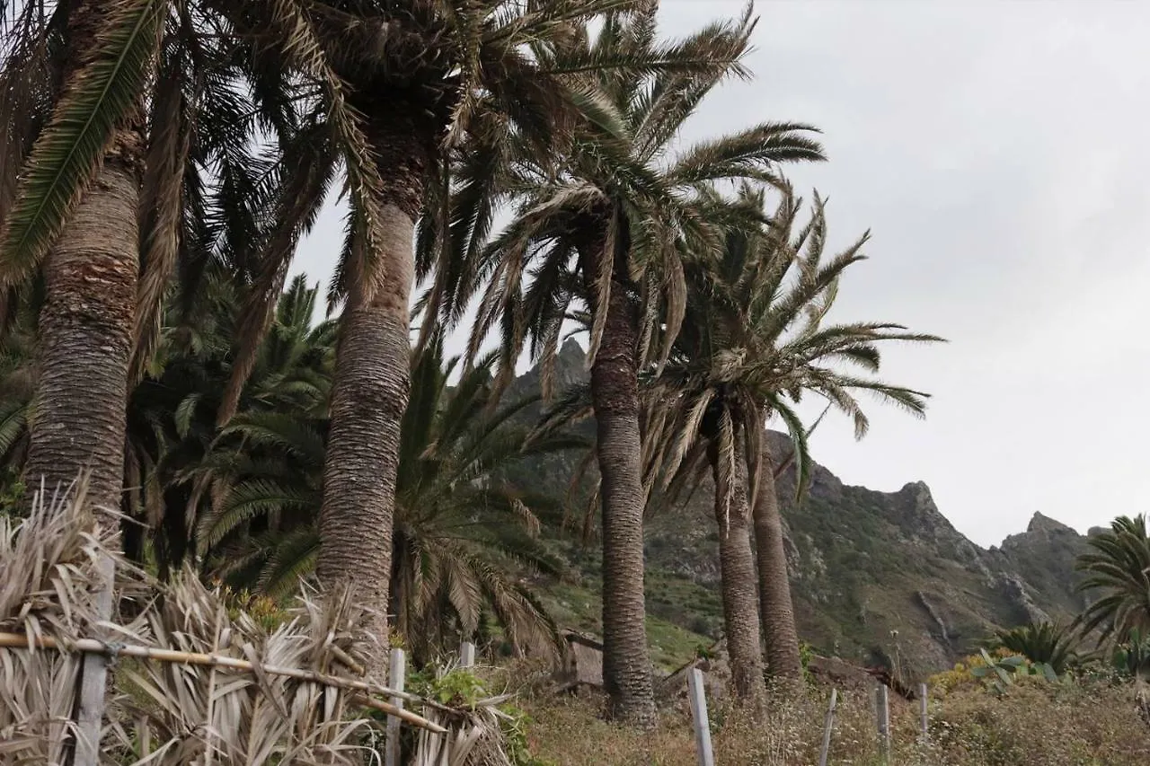 Oasis Atlantico: Rincon Secreto Al Pie De Los Senderos Azano